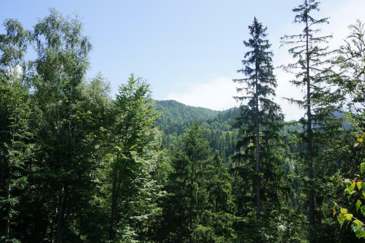 Na Rebri Luče Exterior foto