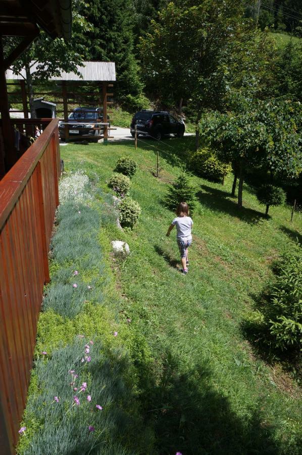 Na Rebri Luče Exterior foto