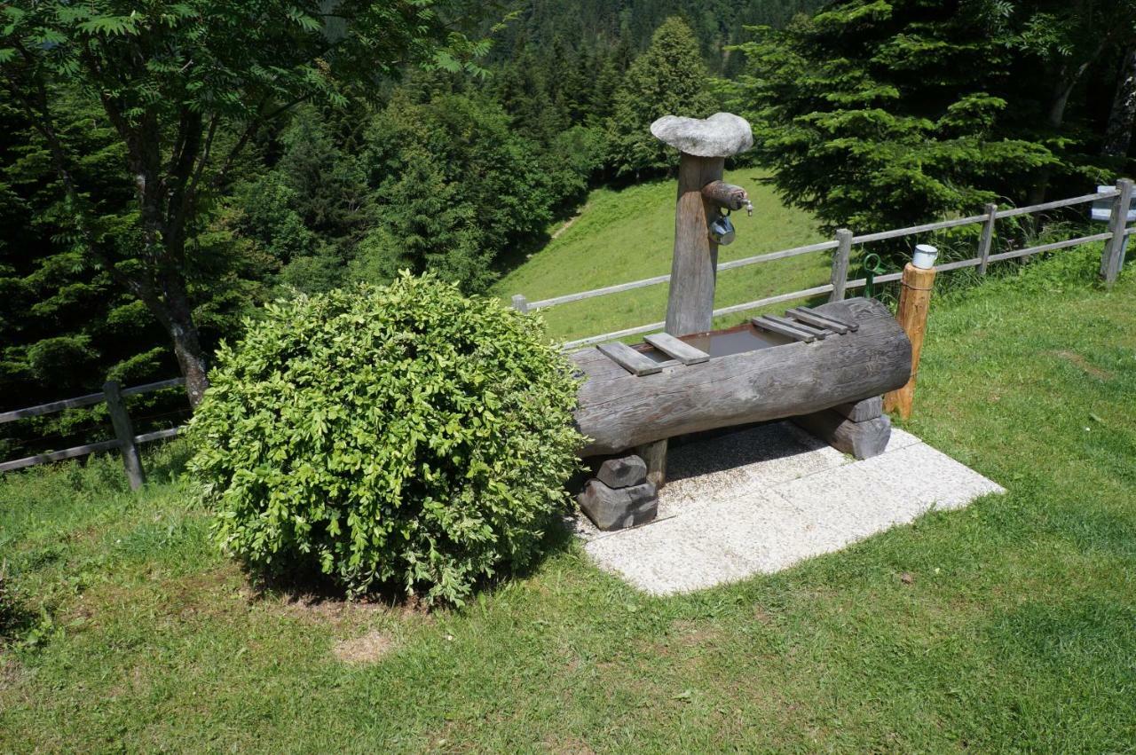 Na Rebri Luče Exterior foto